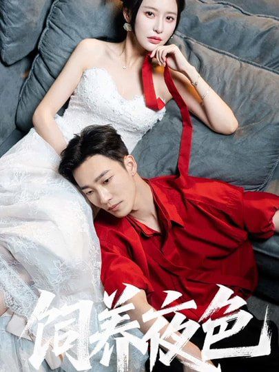 饲养夜色(全集)