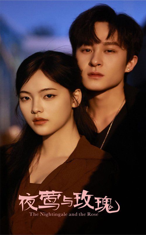 夜莺与玫瑰(全集)