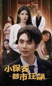 小保安都市狂飙(全集)