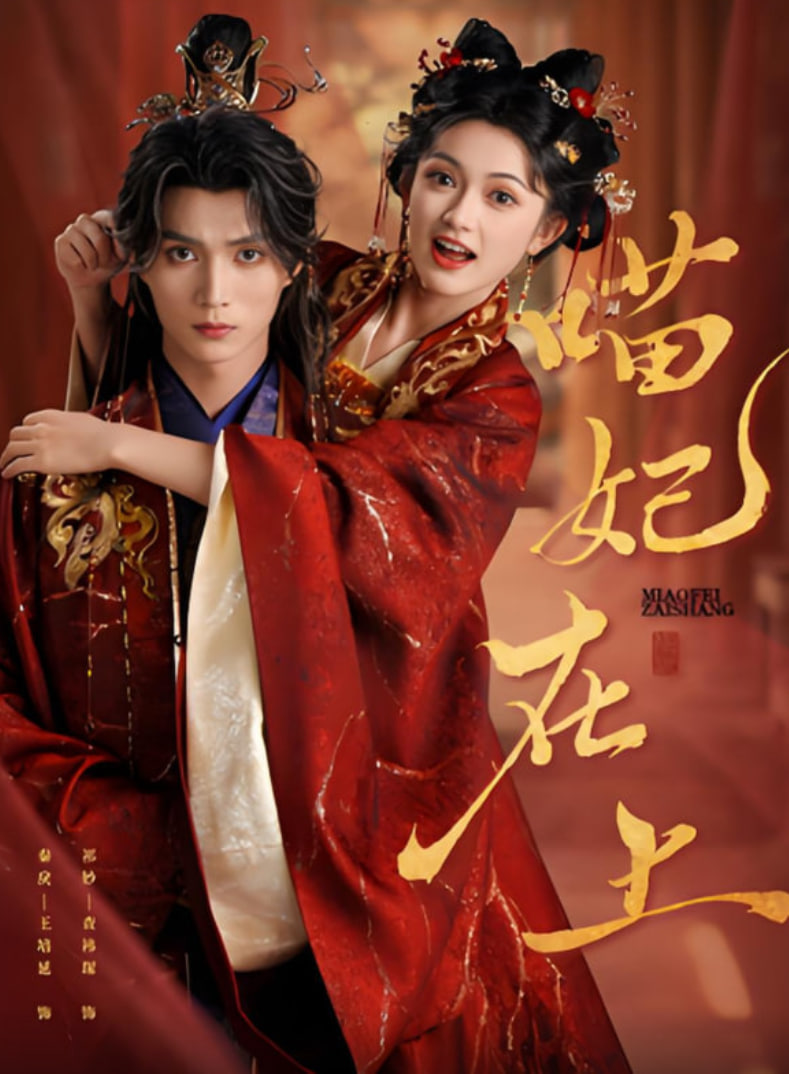 喵妃在上(全集)