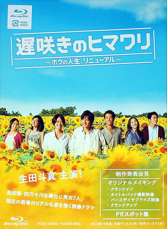 迟开的向日葵 第09集