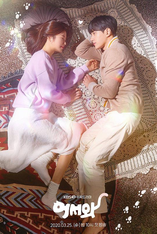 你回来了 第19-20集