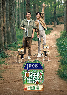 向往的生活7 慢直播 第20230604期