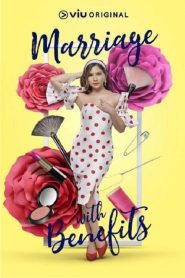 假扮夫妻 第09集