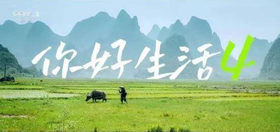 你好生活第四季 第20230716期
