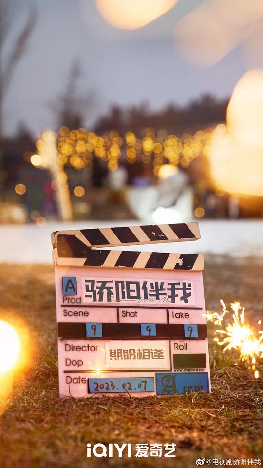 骄阳伴我 第26集