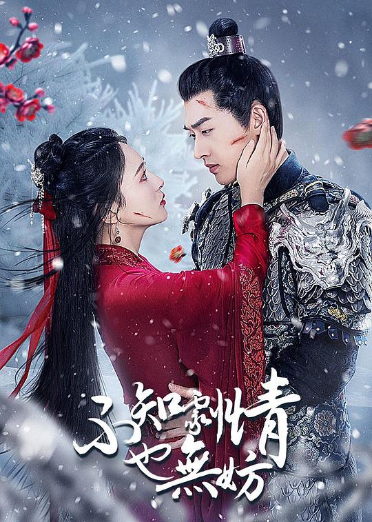 不知剧情也无妨 第12集