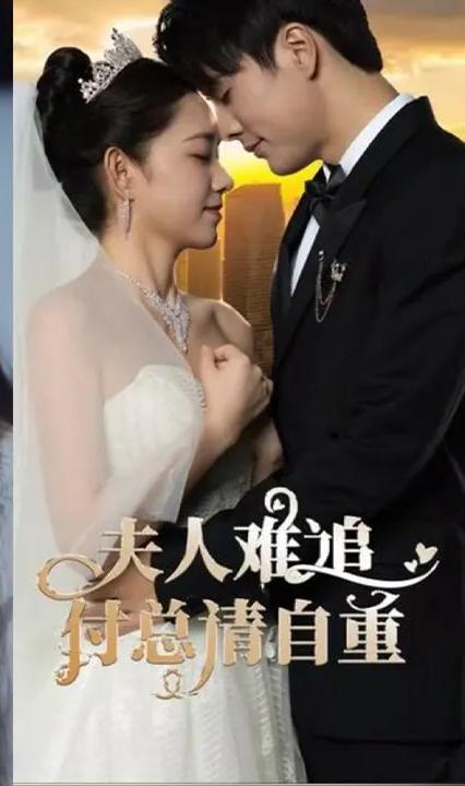 夫人难追，付总请自重 全集(大结局)