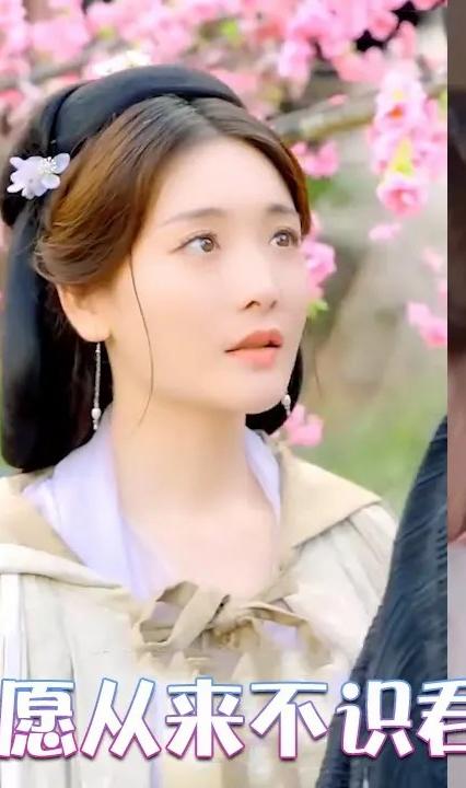 只愿从来不识君 全集(大结局)