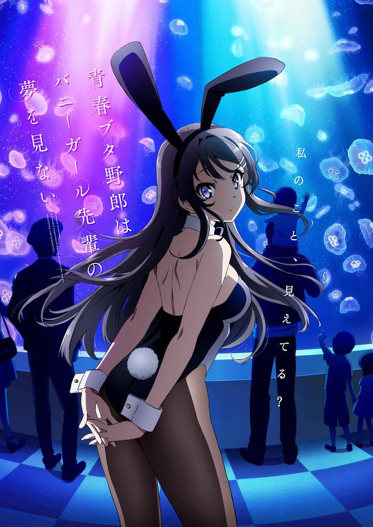青春期猪头少年不做兔女郎学姐的梦 第01集